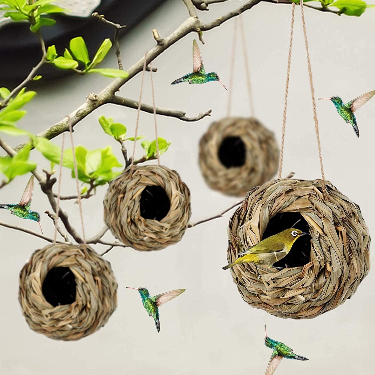 š„Buy 2 Get 1 Freeš„š¦Hummingbird Nest House