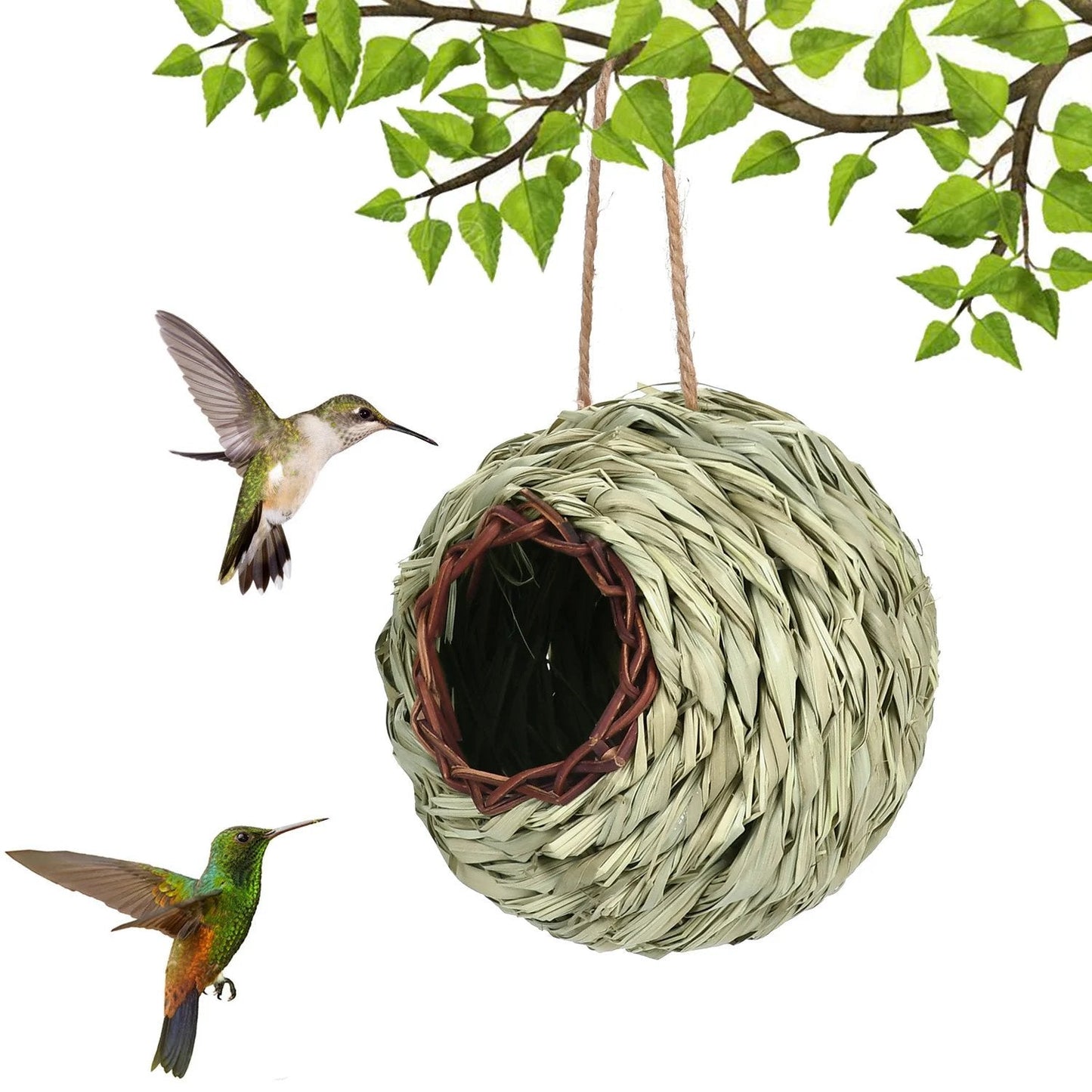 🔥Buy 2 Get 1 Free🔥🐦Hummingbird Nest House