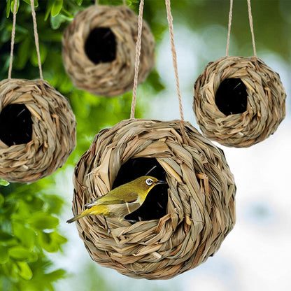 🔥Buy 2 Get 1 Free🔥🐦Hummingbird Nest House