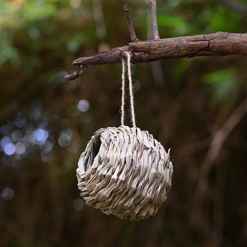 🔥Buy 2 Get 1 Free🔥🐦Hummingbird Nest House