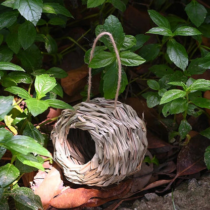 🔥Buy 2 Get 1 Free🔥🐦Hummingbird Nest House