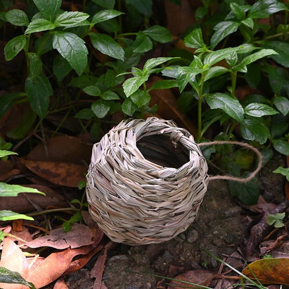 🔥Buy 2 Get 1 Free🔥🐦Hummingbird Nest House