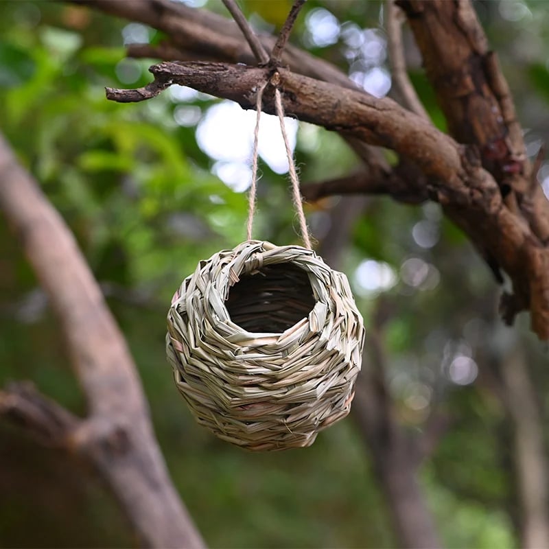 🔥Buy 2 Get 1 Free🔥🐦Hummingbird Nest House