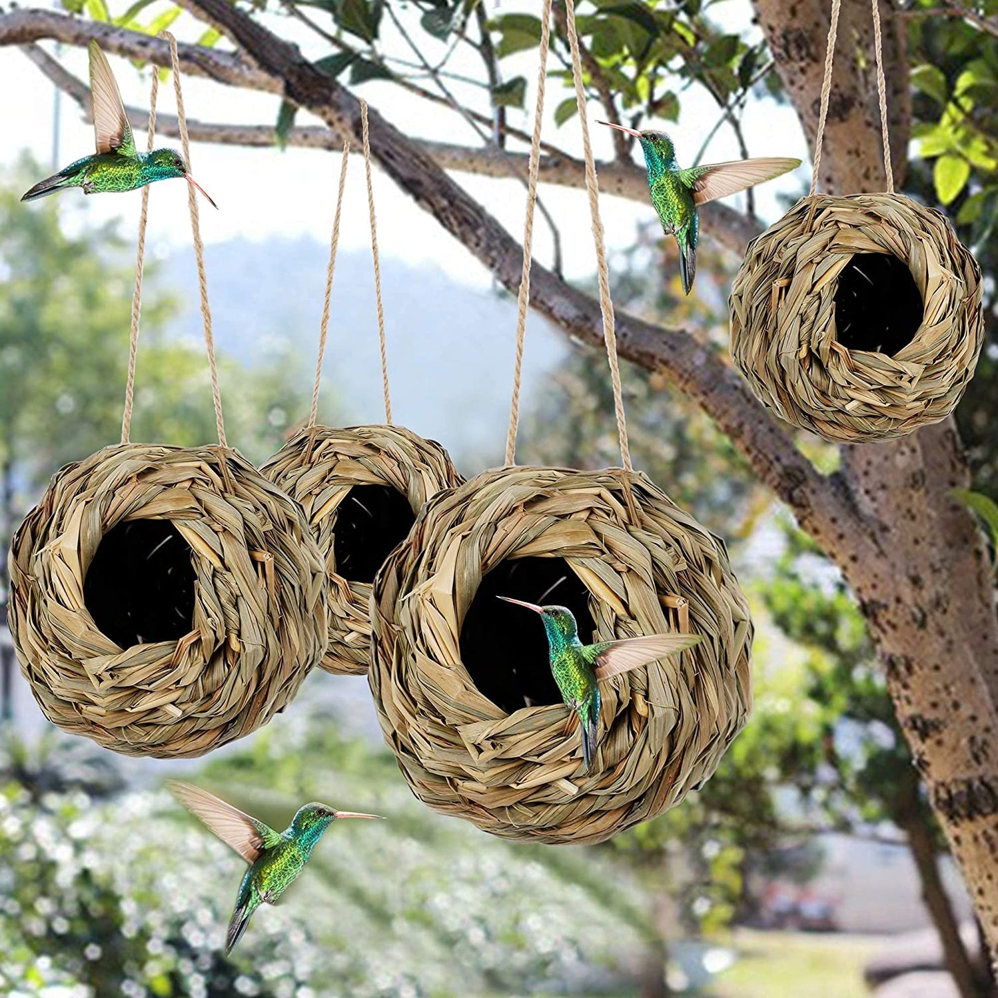 🔥Buy 2 Get 1 Free🔥🐦Hummingbird Nest House