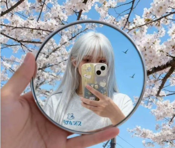🔥Hot Sale🔥Magnetic Mini Round Convex Mirror Portable Lightweight Handheld Mirror for Travel Photography Check-in and Photo Props