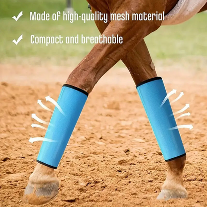 🐴 Durable Fly Leggings for Horses – Breathable, Anti-Bug, Comfort Fit