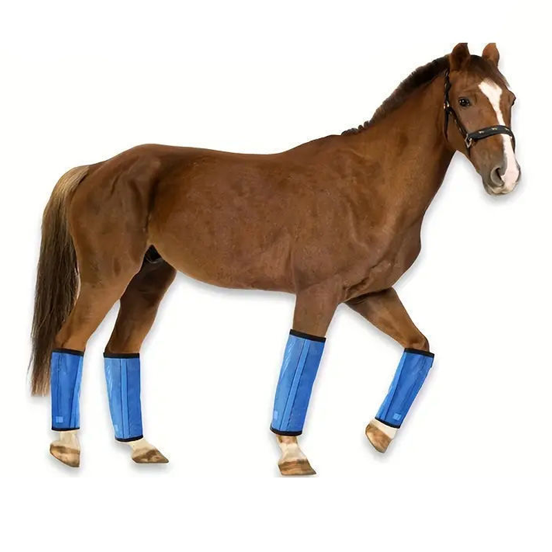 🐴 Durable Fly Leggings for Horses – Breathable, Anti-Bug, Comfort Fit